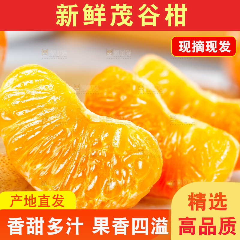 浅底上的茂谷柑