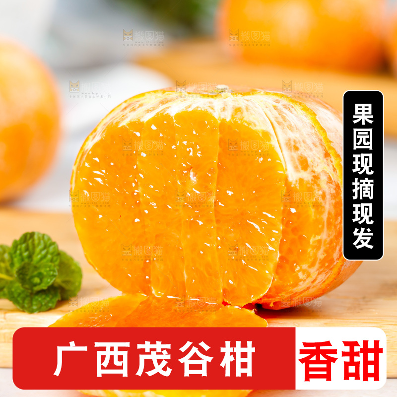 浅底上的茂谷柑