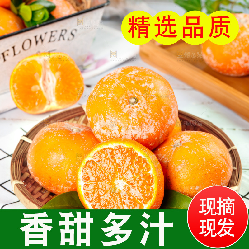 浅底上的茂谷柑