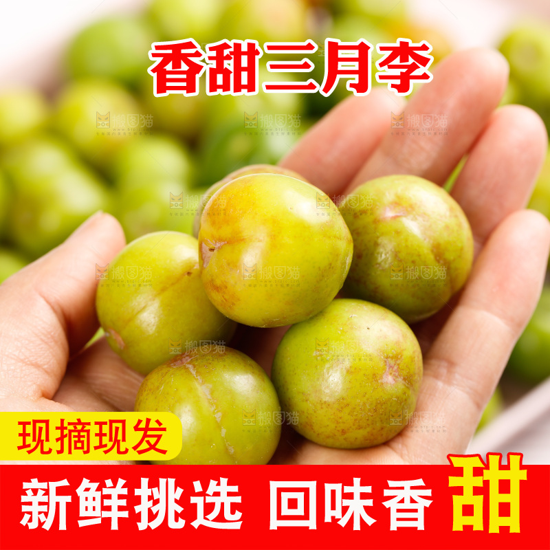 浅底上的三月李
