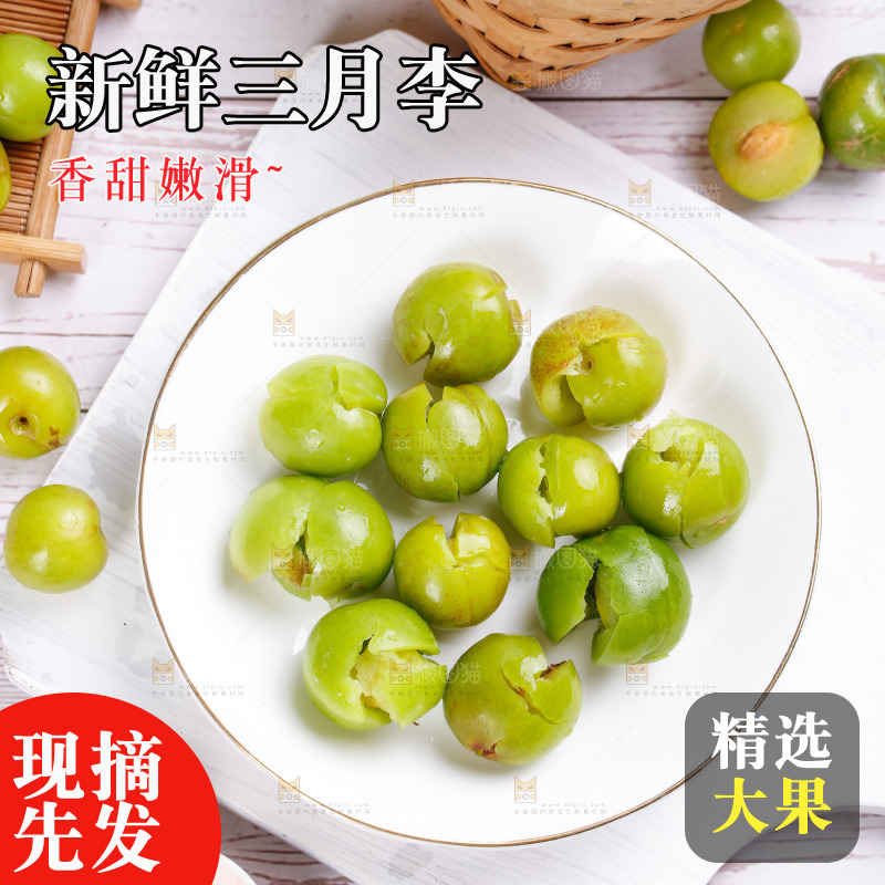 浅底上的三月李
