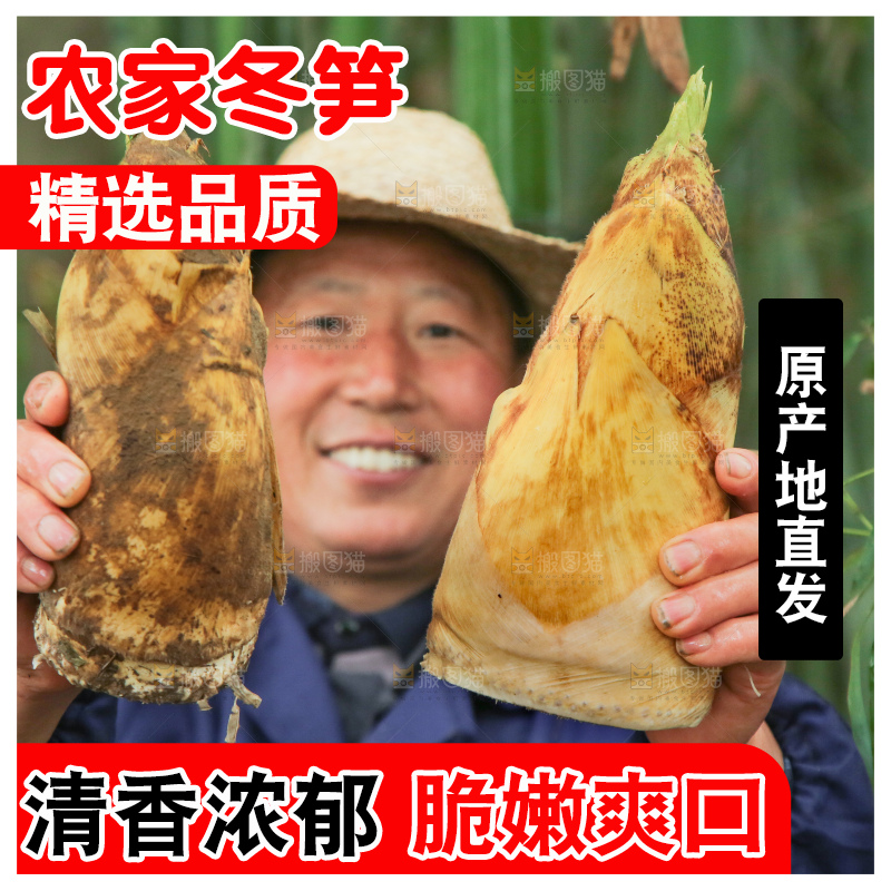 手里拿着冬笋