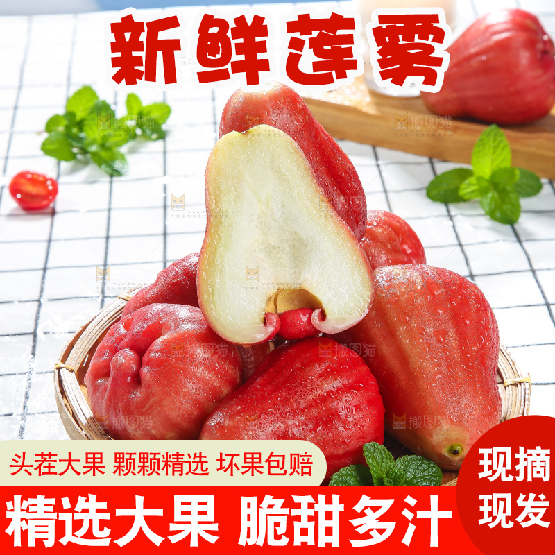 浅底上的莲雾