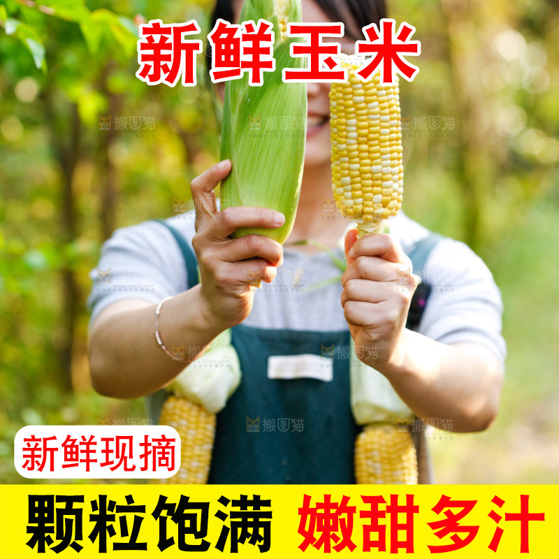 手里拿着甜玉米
