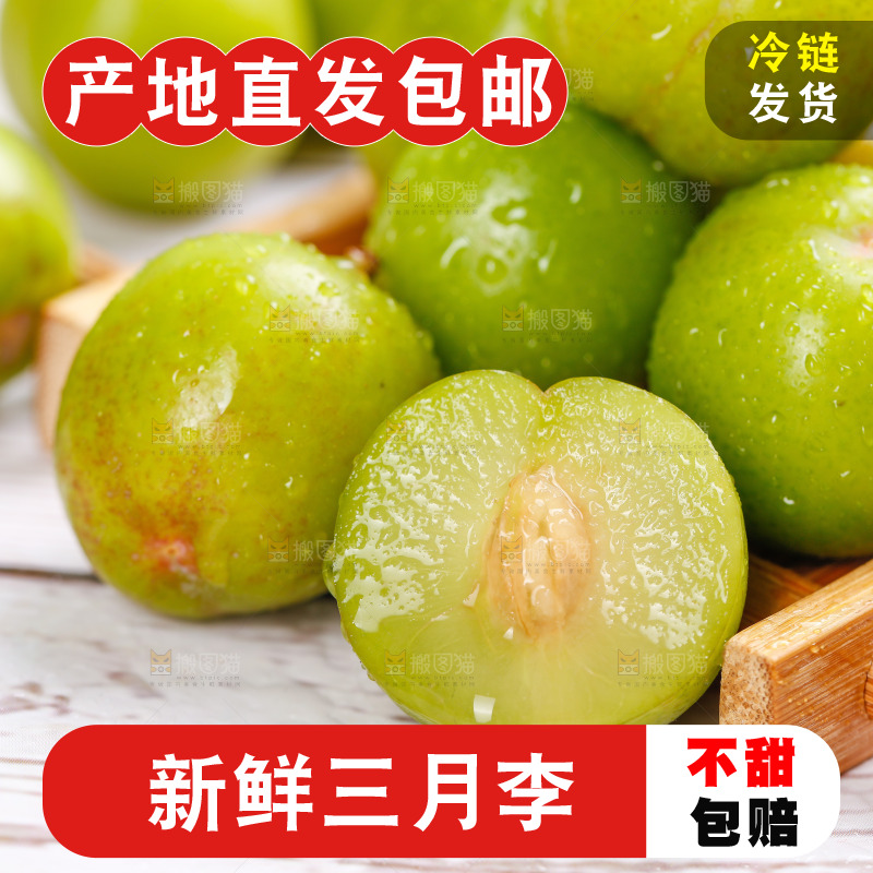 浅底上的三月李