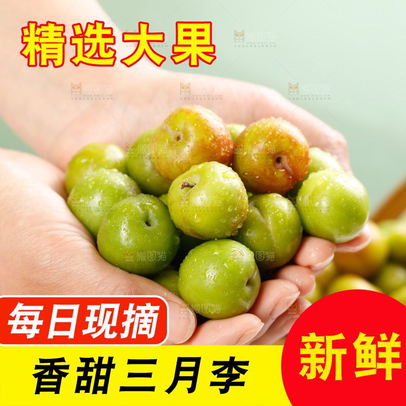 浅底上的三月李