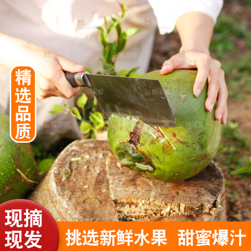 手里拿着椰青