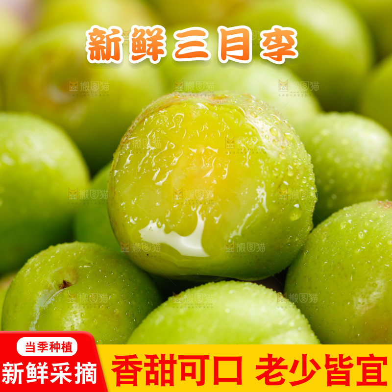 浅底上的三月李