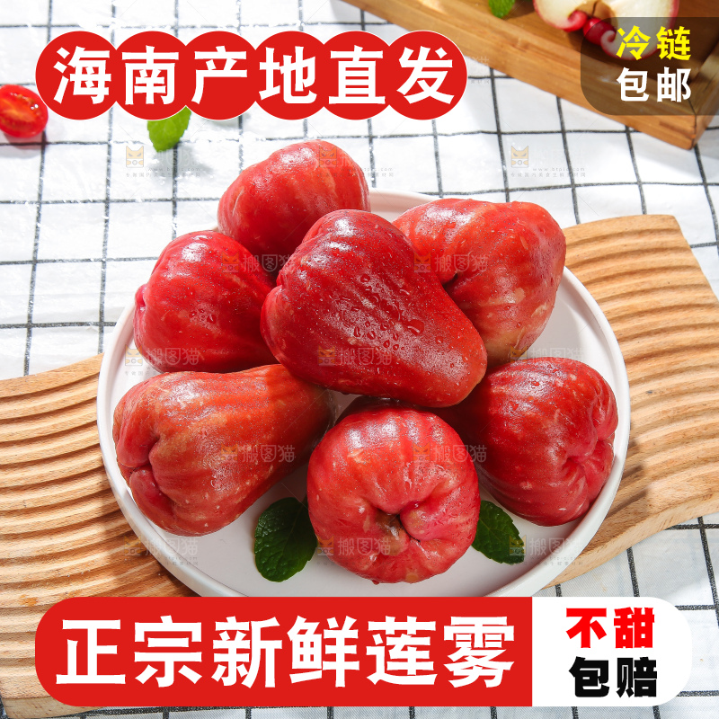 浅底上的莲雾