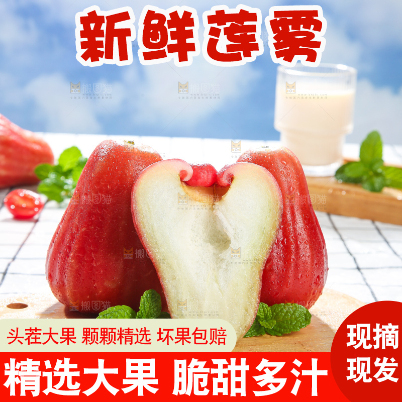 浅底上的莲雾