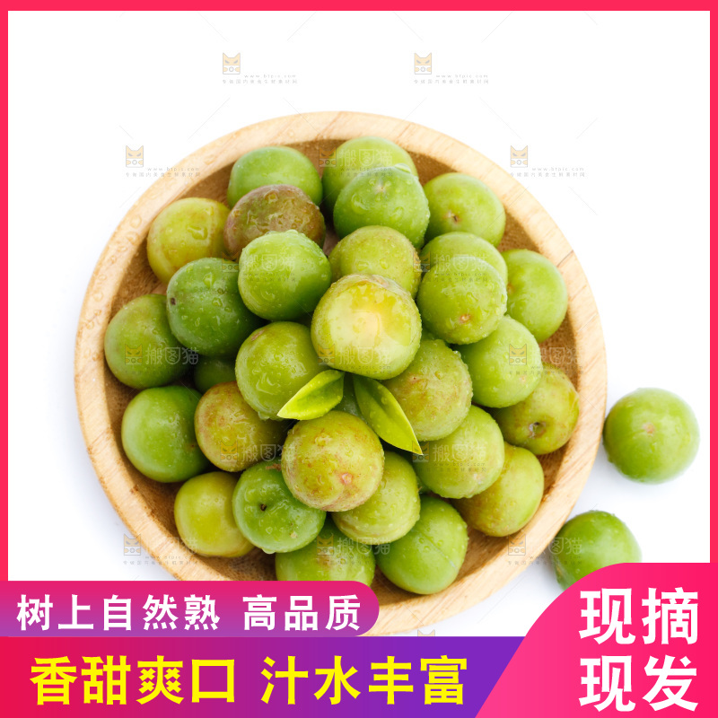 白底上的三月李