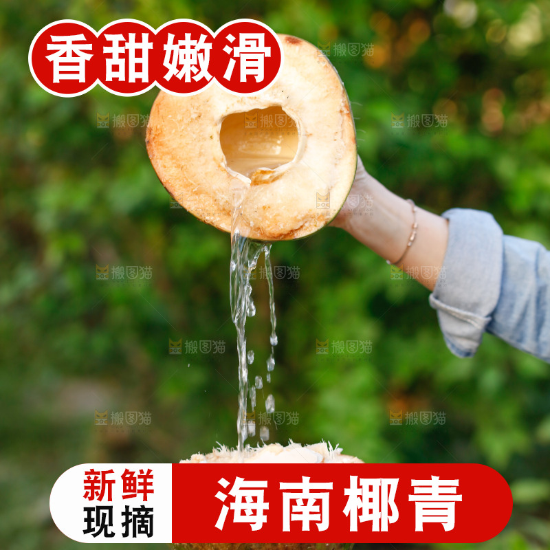 手里拿着椰青