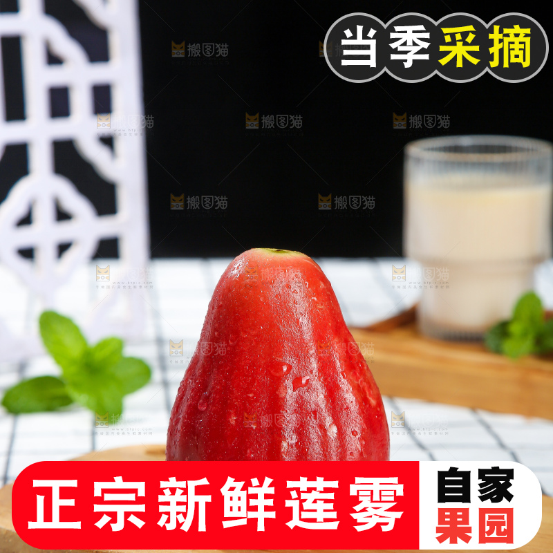 浅底上的莲雾