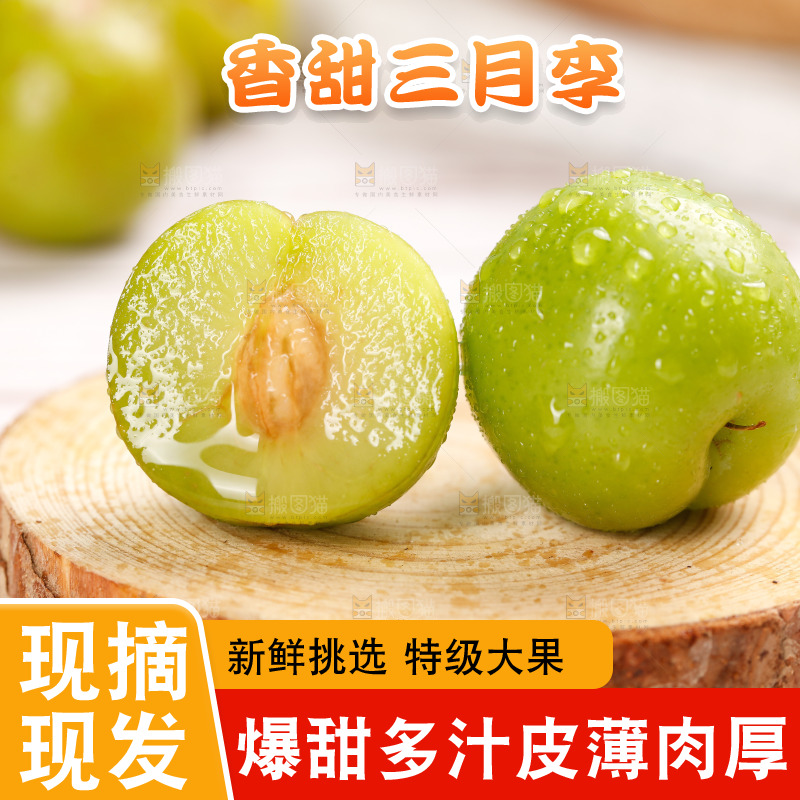 浅底上的三月李