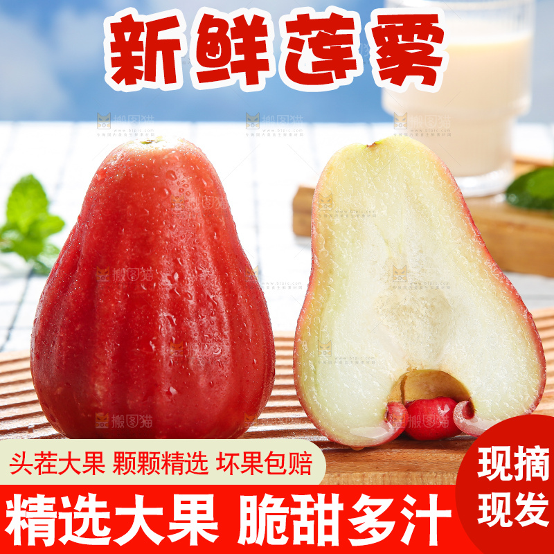 浅底上的莲雾