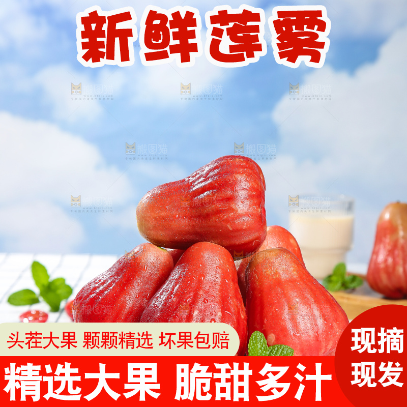 浅底上的莲雾