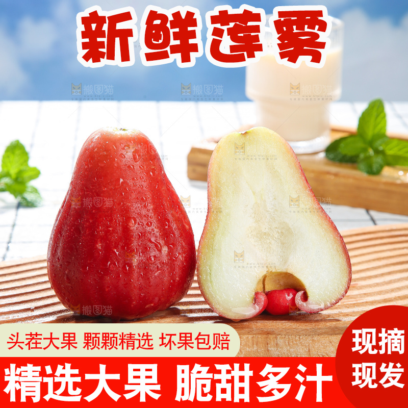 浅底上的莲雾
