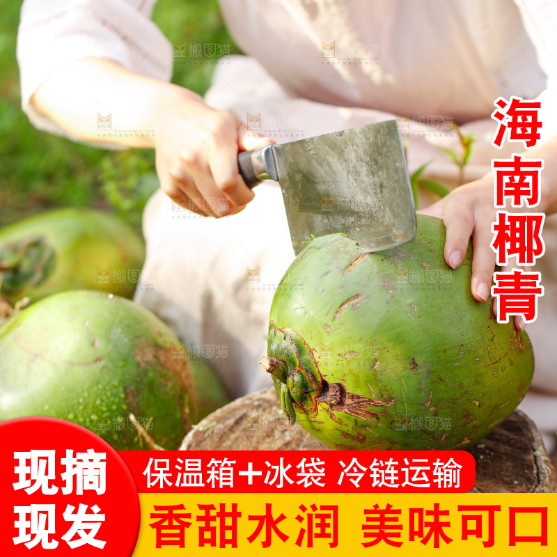 手里拿着椰青