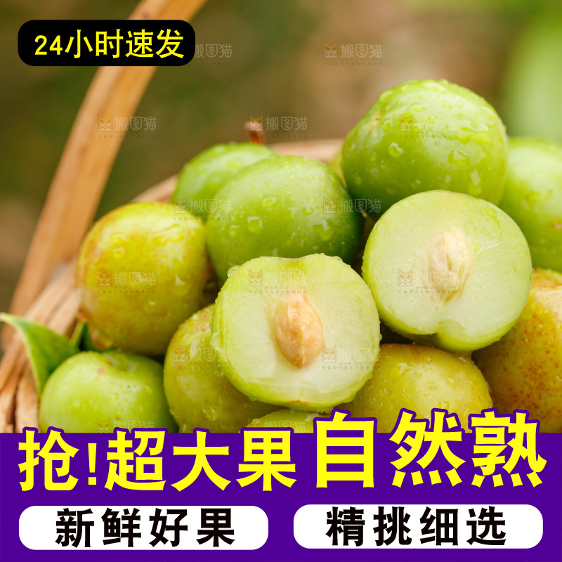 手里拿着三月李