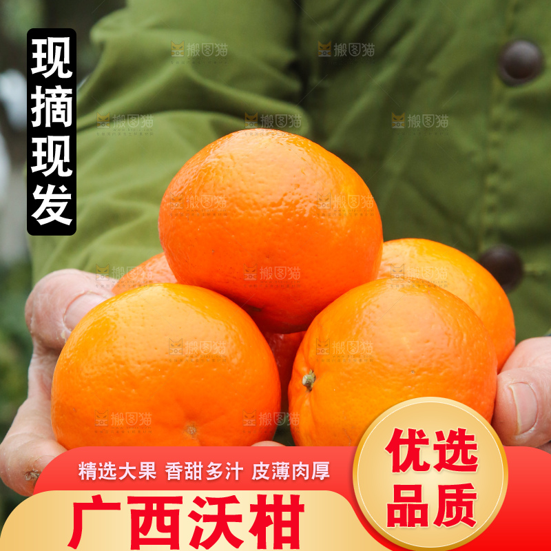手里拿着武鸣沃柑