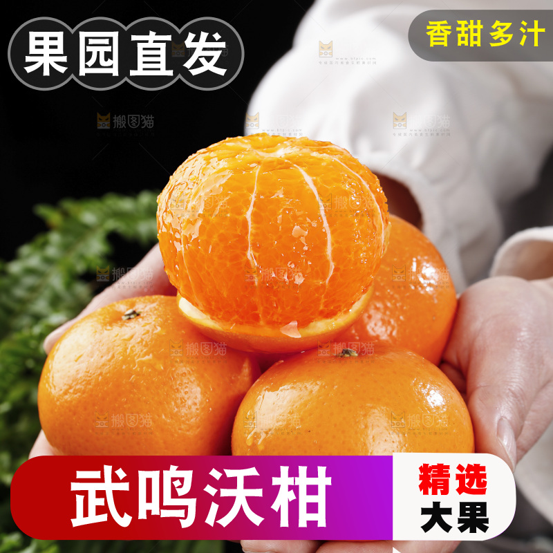 手里拿着武鸣沃柑