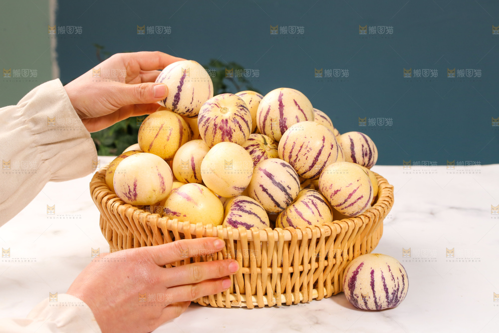 浅底上的人参果