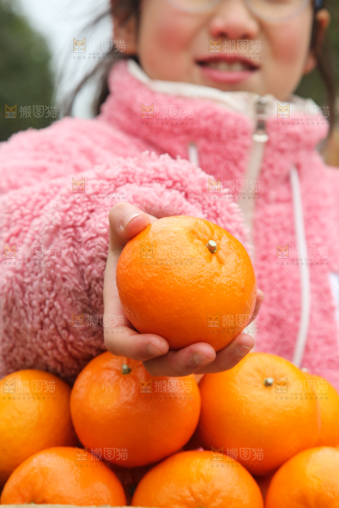 手里拿着武鸣沃柑