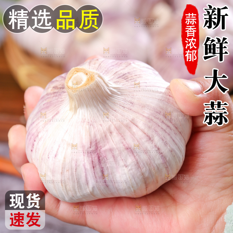 深底上的干大蒜