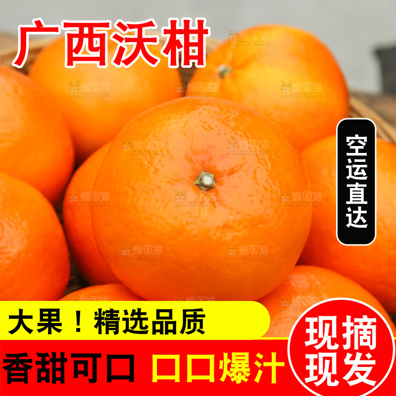 手里拿着武鸣沃柑