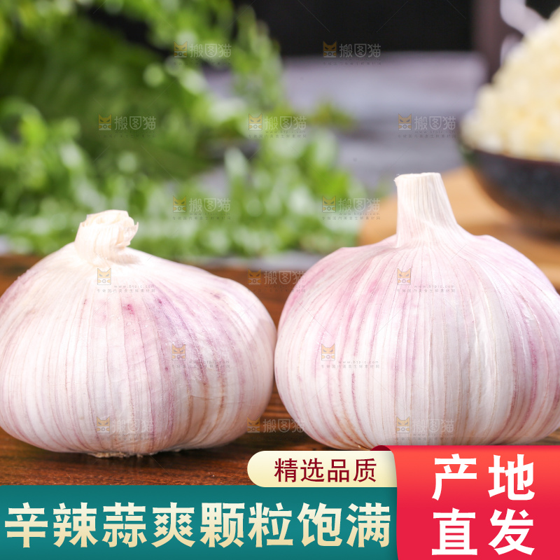 深底上的干大蒜