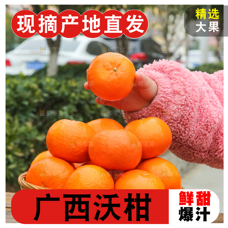 手里拿着武鸣沃柑