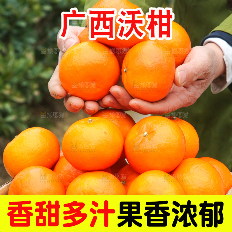 手里拿着武鸣沃柑