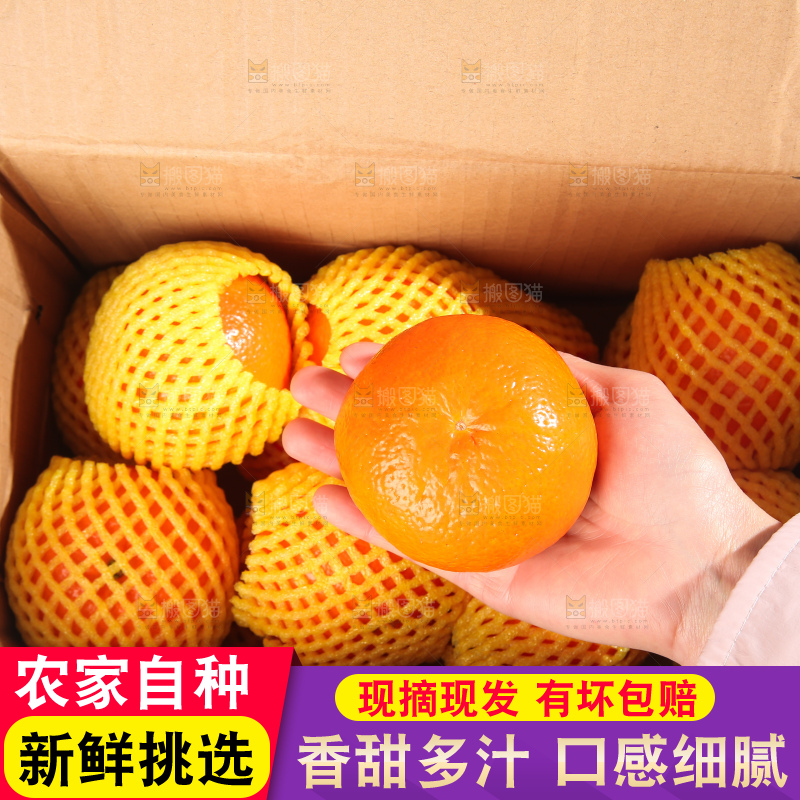 手里拿着武鸣沃柑
