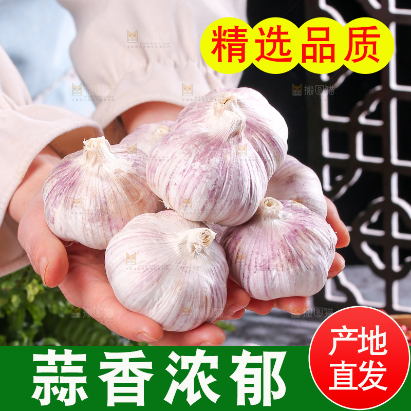 深底上的干大蒜