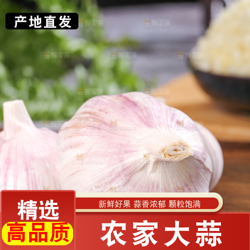 深底上的干大蒜