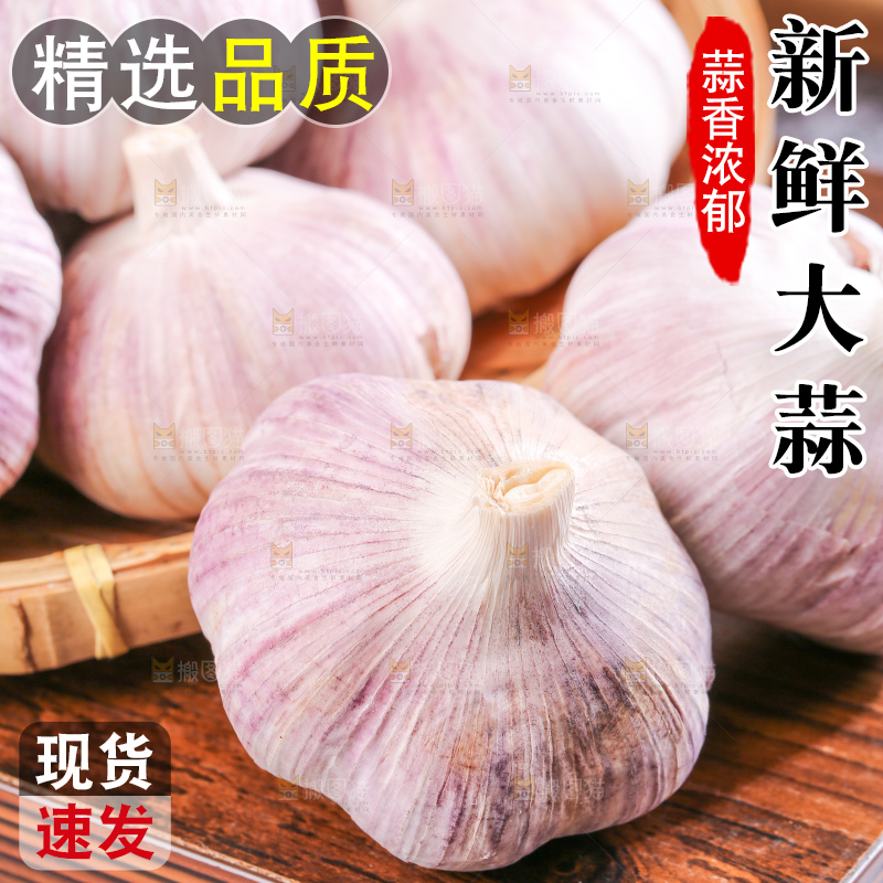深底上的干大蒜
