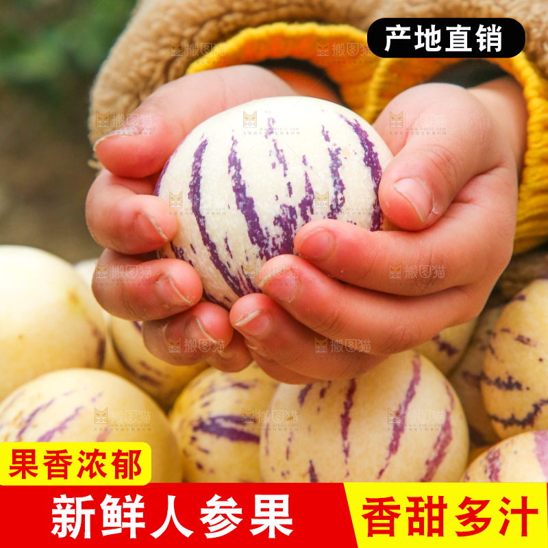 手里拿着人参果