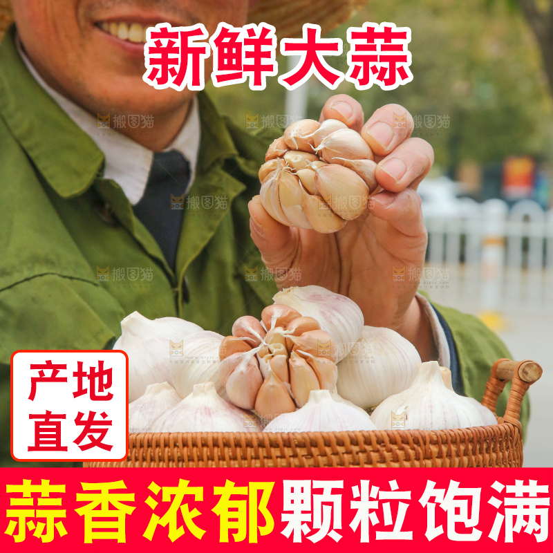 手里拿着干大蒜