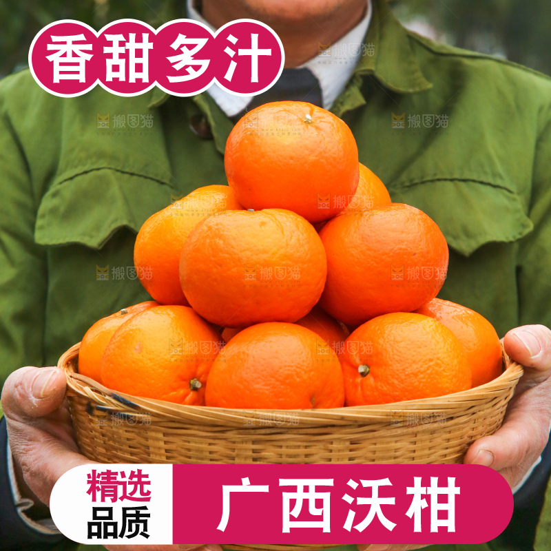 手里拿着武鸣沃柑
