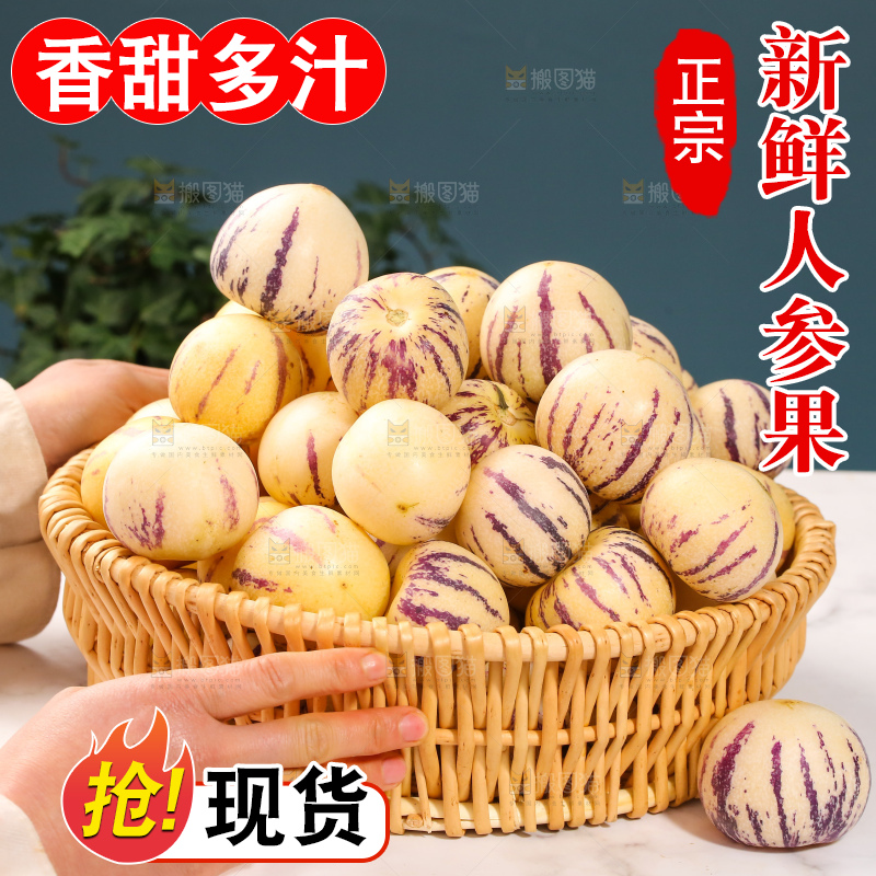 浅底上的人参果