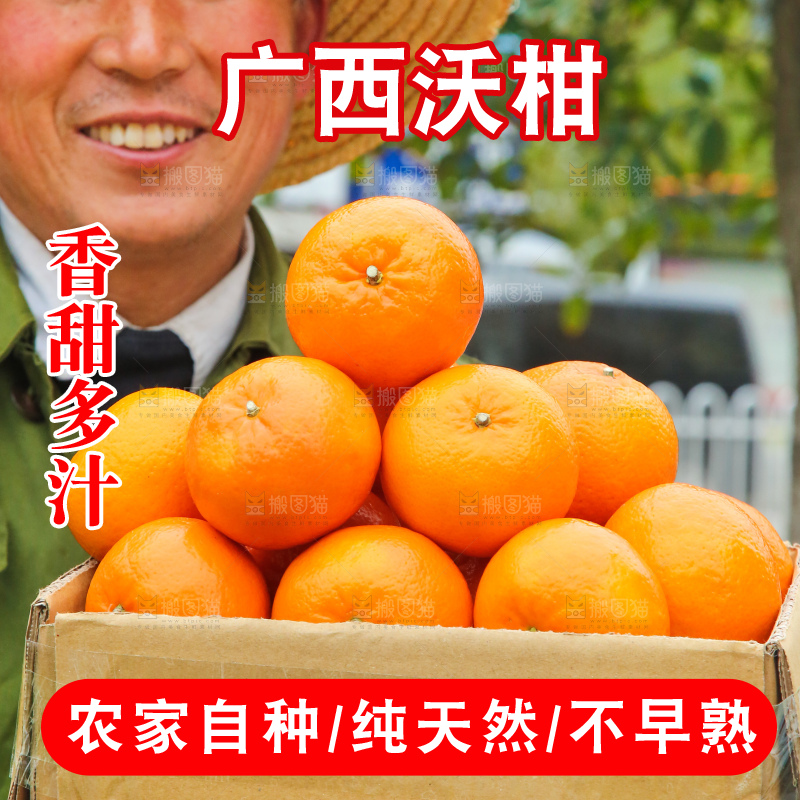 手里拿着武鸣沃柑