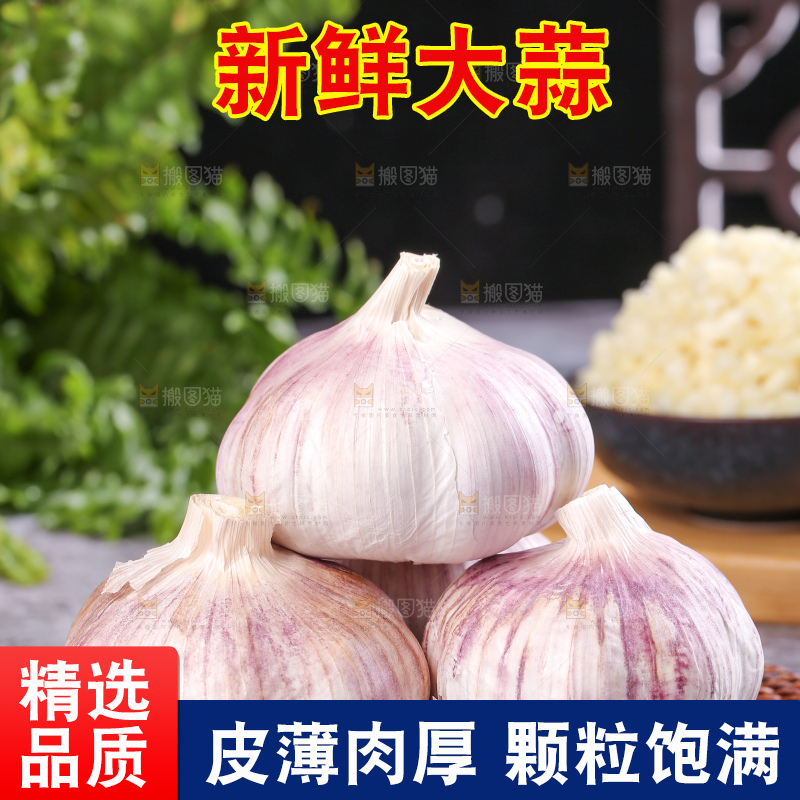 深底上的干大蒜