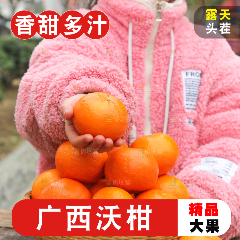 手里拿着武鸣沃柑