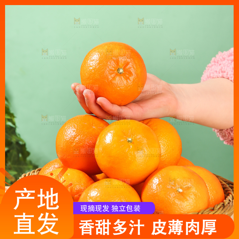 浅底上的武鸣沃柑