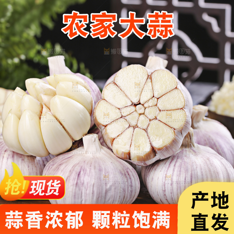 深底上的干大蒜