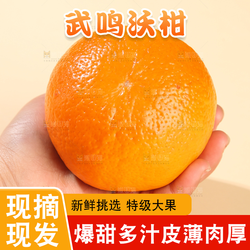 浅底上的武鸣沃柑