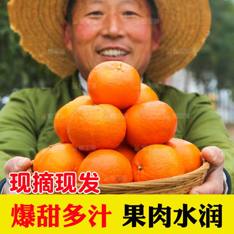 手里拿着武鸣沃柑