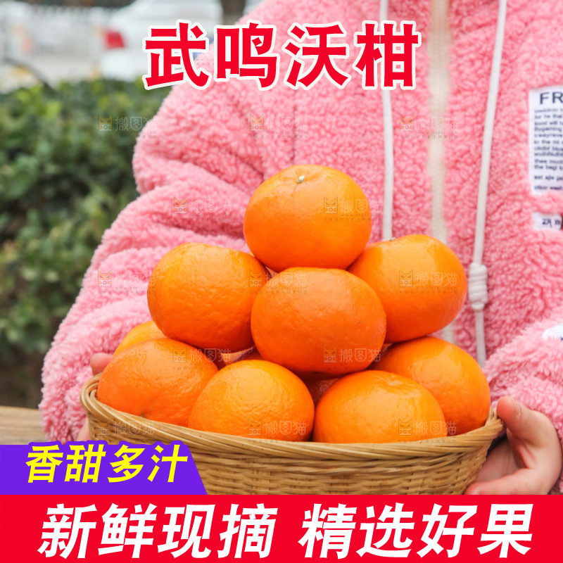 手里拿着武鸣沃柑