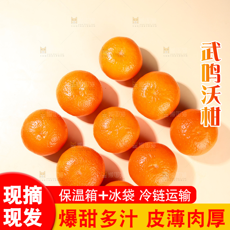 浅底上的武鸣沃柑