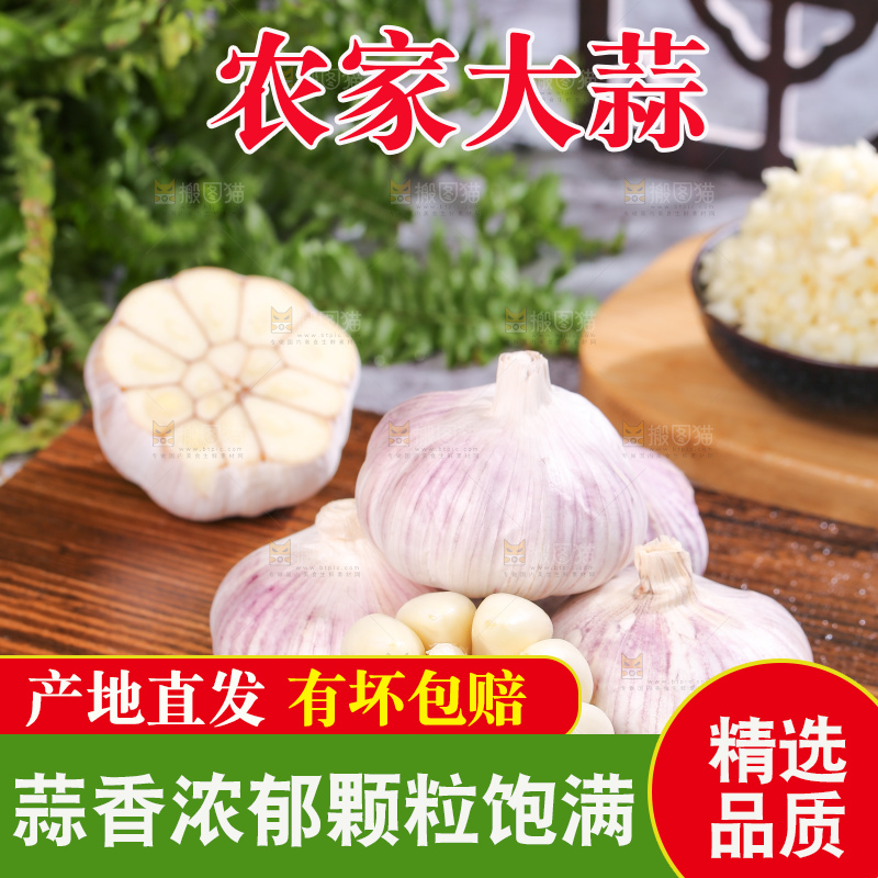 深底上的干大蒜